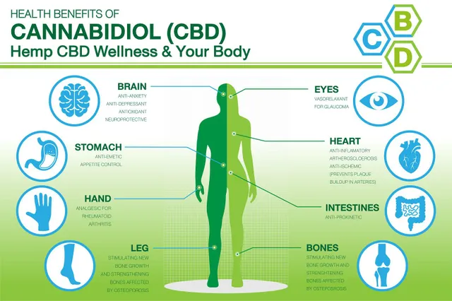 I 5 principali benefici per la salute dell'olio di CBD e uno sguardo agli eff...