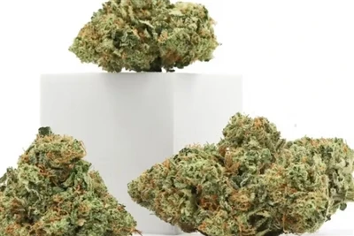 Perché il CBD è il migliore balsamo per labbra naturale