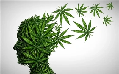 Come utilizzare l'olio di CBD per ottenere benefici ottimali: guida completa?