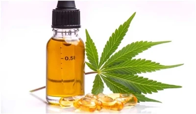 Qual è la differenza tra olio di semi di canapa, CBD ed estratto di canapa?